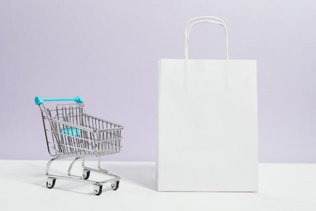 Shopping cart and bag 
