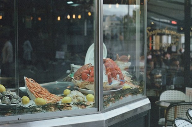 Display case with lobster and other seafood