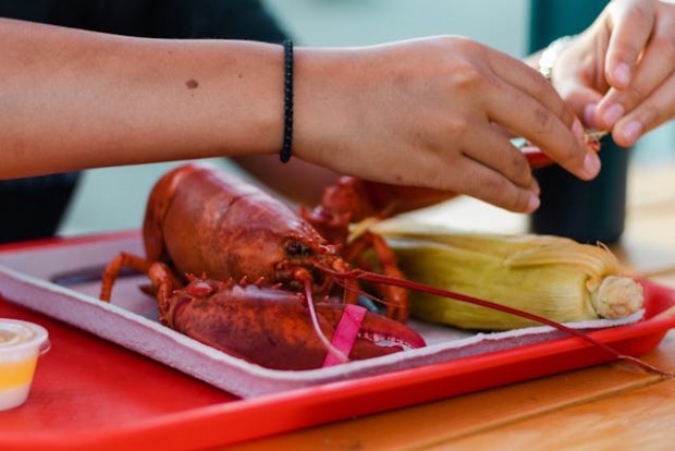 lobster on a tray