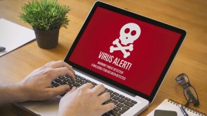 How Computer Viruses Work and How They Affect Your Productivity