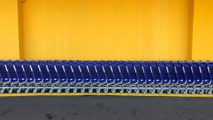 Organized Shopping carts