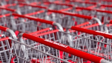 Costco Shopping carts